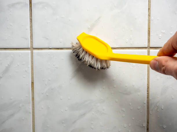 Best Black Mold Removal  in Mledgevle, IL