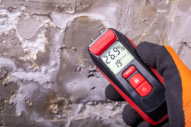 Mold Removal Process in Milledgeville, IL