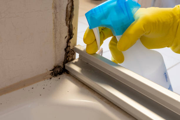 Best Water Damage Restoration  in Mledgevle, IL