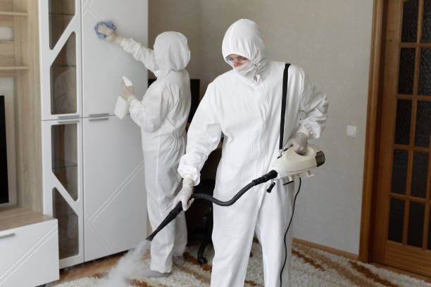 Best Mold Inspection  in Mledgevle, IL